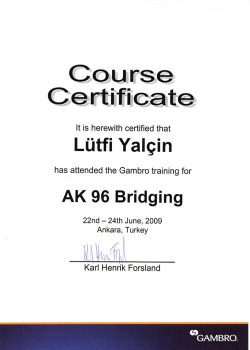 AK96bridging